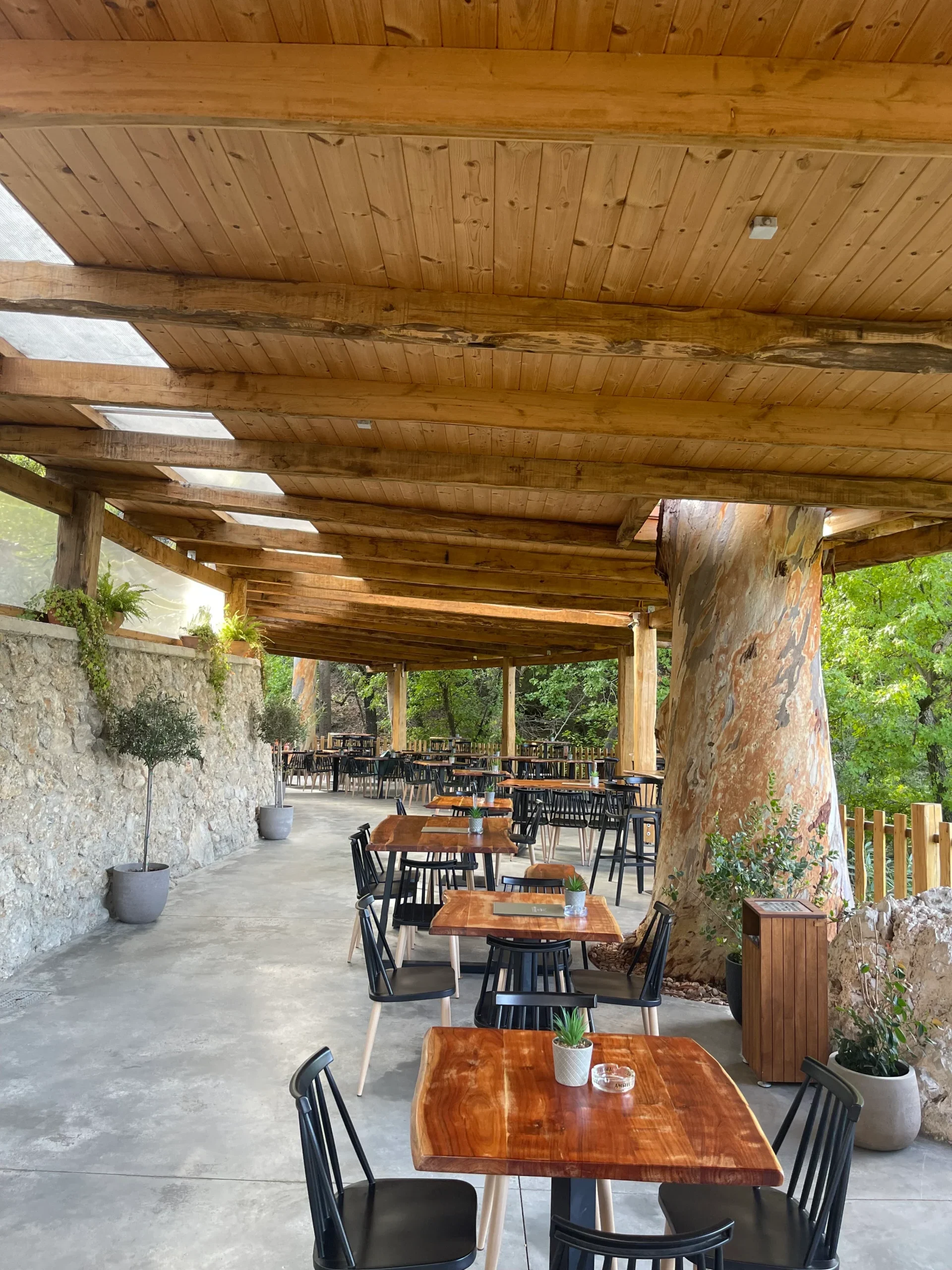 Butterfly Restaurant Bar Rhodes (6)